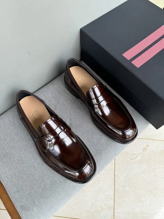 Ferragamo Shoe 